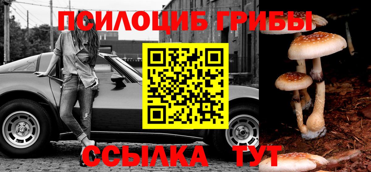 Псилоцибиновые грибы GOLDEN TEACHER  Вход с VPN  где купить наркоту  Псилоцибиновые грибы мицелий  Берёзовский 